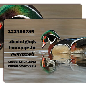 Plastkort med print